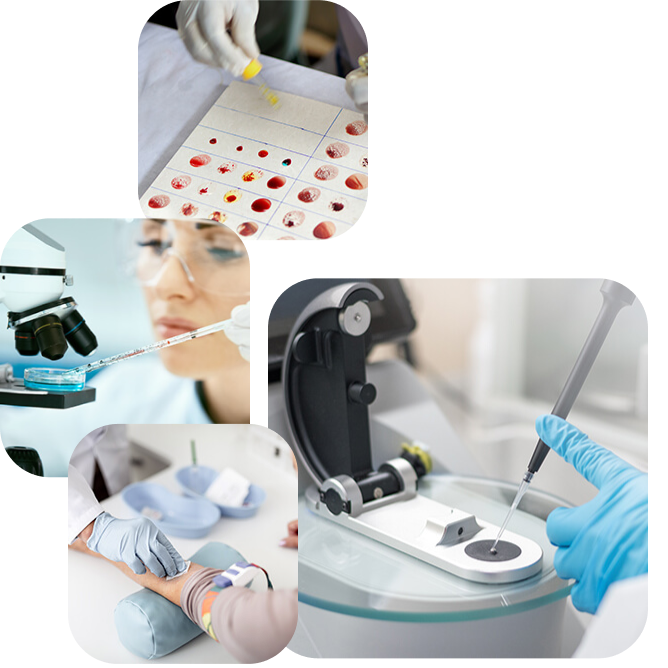 Investigación y desarrollo